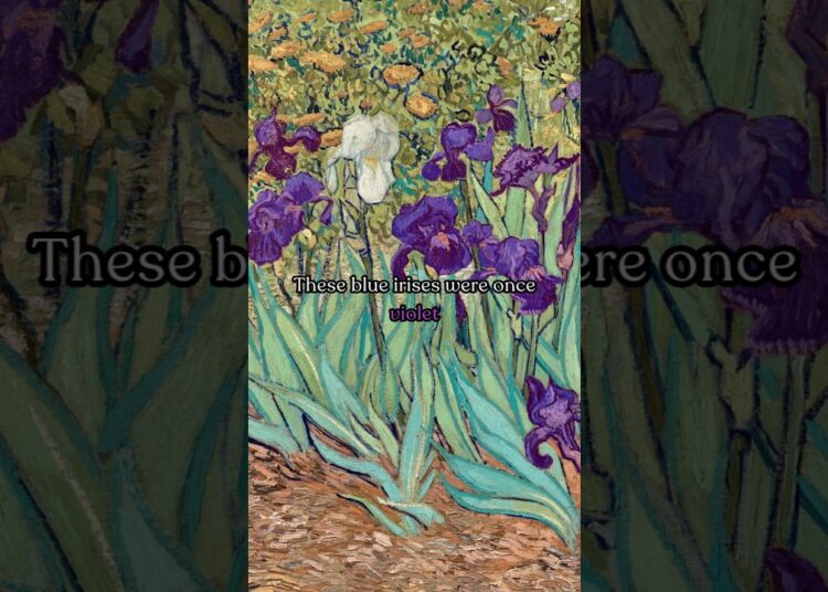 Irises by Van Gogh #history #art #painting