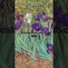Irises by Van Gogh #history #art #painting