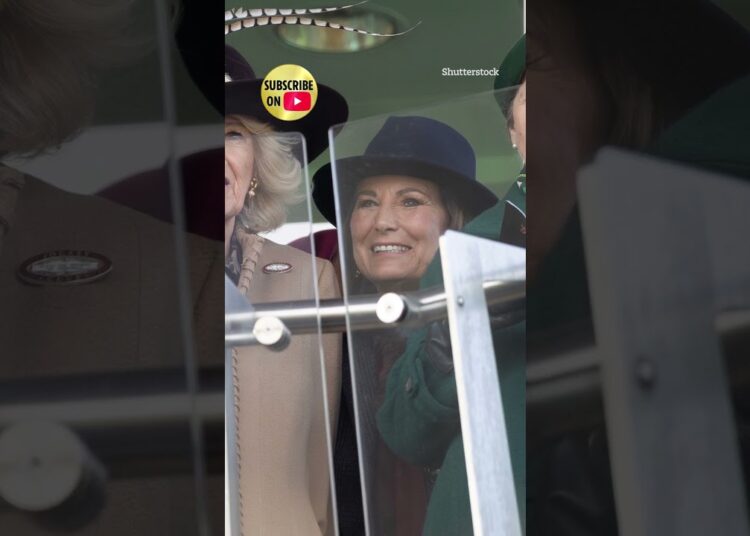 Royal family ‘replace’ Sarah Ferguson with key figure after Epstein fallout