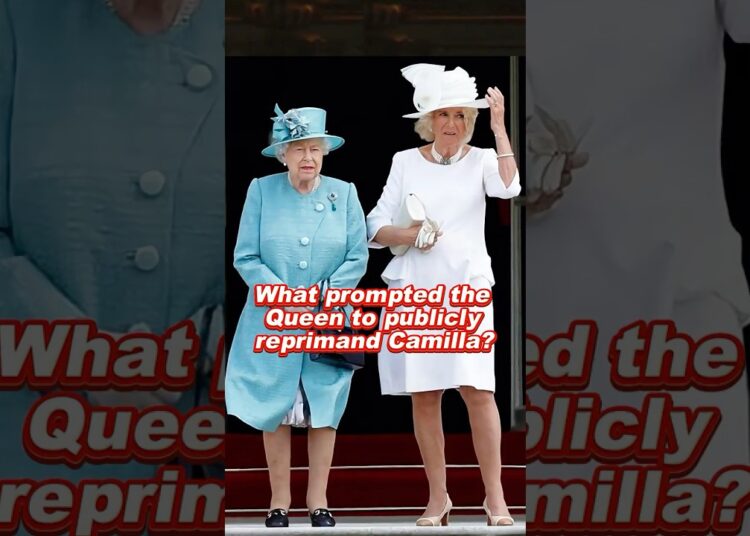What prompted the Queen to publicly reprimand Camilla #kate #camilla #queenelizabeth #royal
