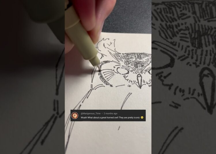 Great Horned Owl: Drawing iconic birds – Part 42 #art #birds #traditionalart #owl #interesting #fyp