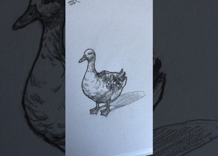 Can you relate? Drawing animals from memory vs with a reference #artists #animaldrawing #art