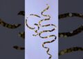 #dusrakalma #allah #artist #art #artwork #trending #viral #painting #popular #islamiccalligraphyart