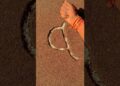 🍀’a’ Alphabet Design without Seeds New 🐉Beautifully Nature Seed Art’|relaxing & funny Craft#seeds