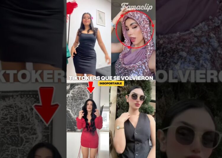TikToker, que se volvieron insoportable#farandula #famosos #chisme #noticias #celebrity