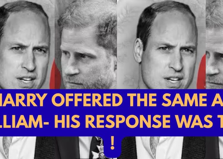 WILLIAM HARRY- FINALLY THE TRUTH #royal #princeharry #princewilliam