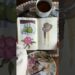 Small sketchbook tour! #gouacheart #artist #sketchbooktour #artreveal