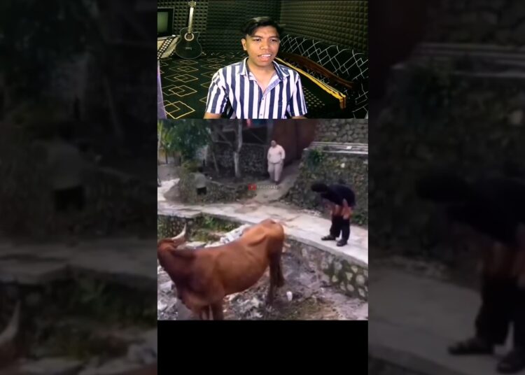 salah paham berujung gosip #fypshorts #funnyvideo #reaction