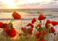 Palm Sunday, Beautiful Relaxing Hymns, Peaceful Instrumental Music,  by Tim Janis