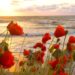 Palm Sunday, Beautiful Relaxing Hymns, Peaceful Instrumental Music, by Tim Janis