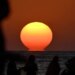 8 free Sarasota County spots locals love for stunning sunset views