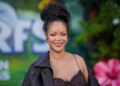 A woman prosecutors say fired shots at Rihanna's home in attempt to kill her set to appear in court