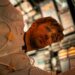 Amazon MGM Studios' 'Project Hail Mary' rockets to the top of the box office