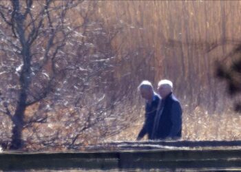 Andrew Mountbatten Windsor was spotted walking his dogs for 90 minutes in the countryside near Wood Farm.