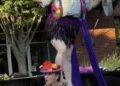 Arc Benders Circus Opera presents 'The Magic Flute' at NECCA | Entertainment