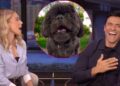 Mark Consuelos received the 'nicest thing' for his 55th birthday: an animated video message from his dog Lena. Live With Kelly and Mark