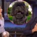 Mark Consuelos received the 'nicest thing' for his 55th birthday: an animated video message from his dog Lena. Live With Kelly and Mark