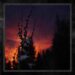 Blackbraid announce new EP, share music video for new single "Celestial Bloodlust"