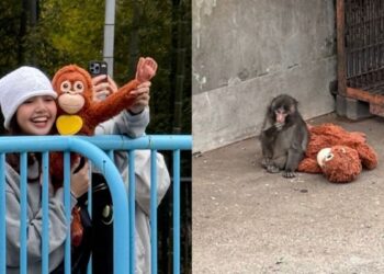 Blackpink’s Lisa meets Punch, the viral lonely monkey in Japan