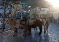 Brad Pitt Film Moves to New Spot in Greece