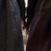 Francesca Bridgerton and Michaela Stirling's hands touch.