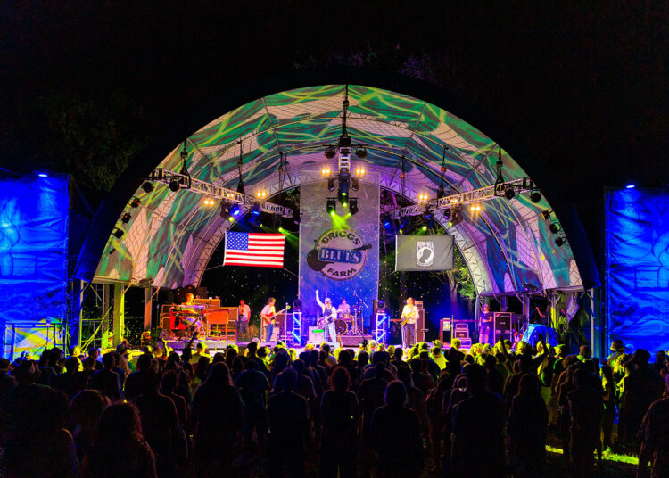 Briggs Farm Blues Festival Guide | Live Music