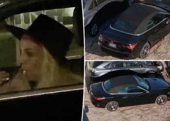 Britney Spears 911 dispatch reveals star swerved 'in and out' of lanes before DUI arrest