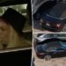 Britney Spears 911 dispatch reveals star swerved 'in and out' of lanes before DUI arrest