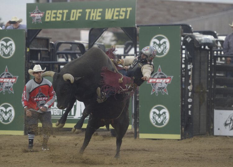 Bulls & Beats event at Colorado State to start with all-star rodeo