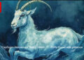 Capricorn Horoscope Today, March 11, 2026: Invest with patience