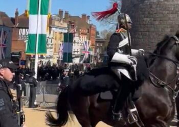 Chaos erupts after horse out of control during state visit near King | Royal | News