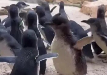 Cincinnati Zoo festival ranked among best in America