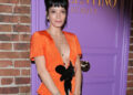 David Harbour’s Alleged Partner Kicked Out Of Lily Allen Producer’s Party In Stunning Scene
