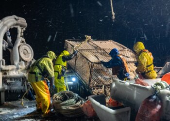 'Deadliest Catch' costar says Todd Meadows' death was filmed