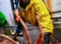 Deadliest Catch TV star Todd Meadows dies while filming the popular fishing adventure show.