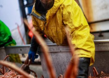 Deadliest Catch TV star Todd Meadows dies while filming the popular fishing adventure show.