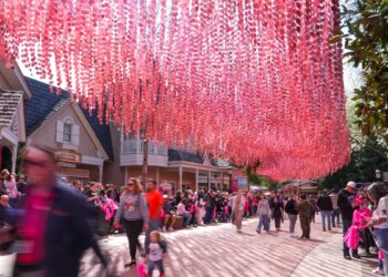 Dollywood announces dates for a fall marathon race weekend
