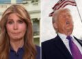 Nicolle Wallace discussed Donald Trump’s reaction to celebrity critics, calling him ‘sensitive.’MS NOW/YOUTUBE; MEGA