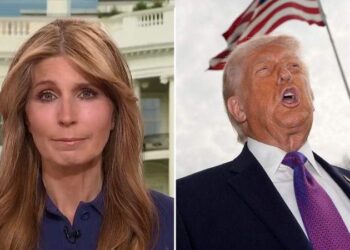 Nicolle Wallace discussed Donald Trump’s reaction to celebrity critics, calling him ‘sensitive.’MS NOW/YOUTUBE; MEGA
