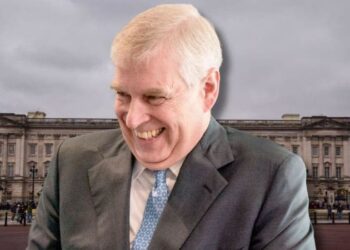 Andrew Windsor may have a plan in mind to avoid jail time. MEGA