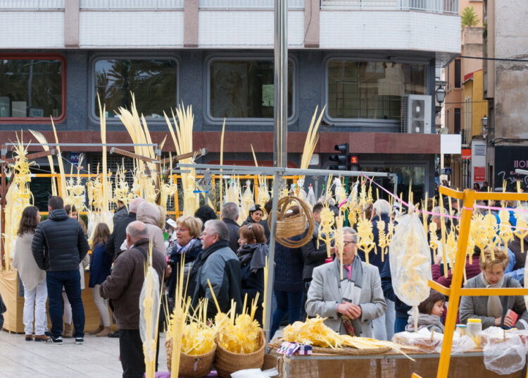 Elche sends iconic white palms to the Pope and Spanish Royal Family ahead of Palm Sunday celebrations « Euro Weekly News