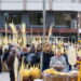 Elche sends iconic white palms to the Pope and Spanish Royal Family ahead of Palm Sunday celebrations « Euro Weekly News