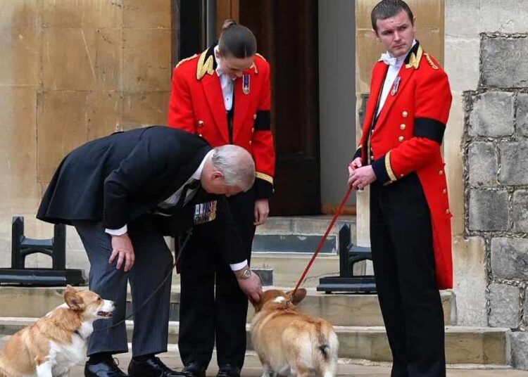 Ex-Prince Andrew Skips Walk With Only 2 Loyal Royal Companions — Report