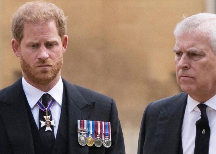 Expert Warns Prince Harry Not To Let Ex-Prince Andrew Scandal Stop Him