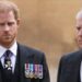 Expert Warns Prince Harry Not To Let Ex-Prince Andrew Scandal Stop Him