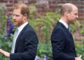 Expert exposes 'truth' about William's relationship with Harry | Royal | News
