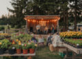 Farm Market in Yellow Point Unveils Vibrant Live Music Venue — A New Cultural Hub Blooms