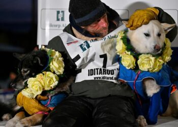 Jessie Holmes poses with his lead dogs Zeus, left, and Polar, after claiming his second straight Iditarod Trail Sled Dog Race championship, in Nome, Alaska, Tuesday March 17, 2026.  / Credit: Marc Lester/Anchorage Daily News via AP