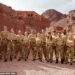 The future of Celebrity SAS: Who Dares Wins has been revealed