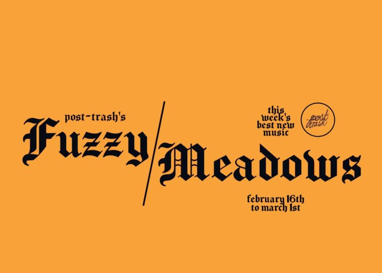 Fuzzy Meadows: The Week's Best New Music (February 16th